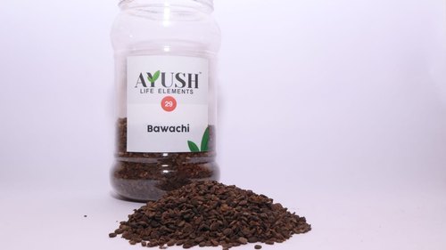 Bakuchi Seeds