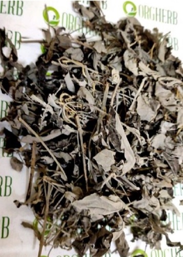 Vitex Negundo