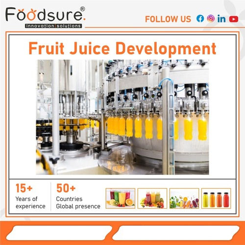 Fruit Juice Plant Setup