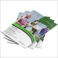 University Bi-Fold Brochure Template Mockup