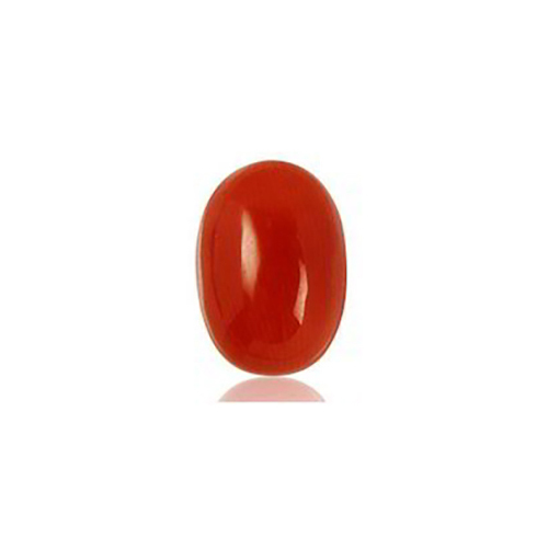 Red Coral Stone By RUDRA RATNA