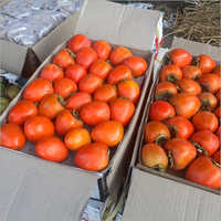 Japanese Persimmon Fruit