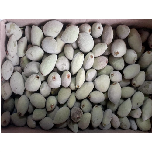 Natural Japanese Fruit