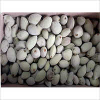 Natural Japanese Fruit