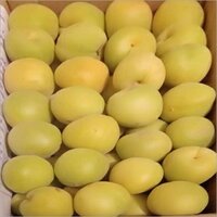 Fresh Japanese Honey Peach Fruit - Color: Pinkish-red With Creamy Yellow Undertones