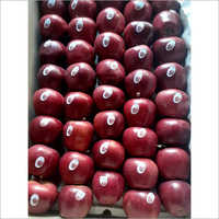 Red Royal Delicious Apple