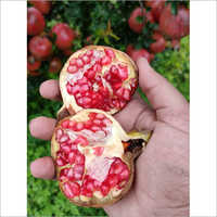 Fresh Pomegranate