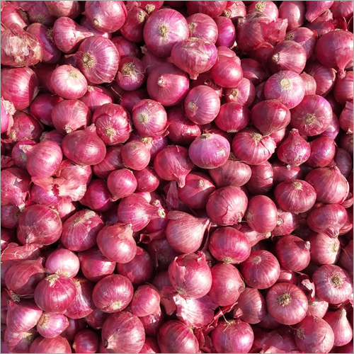 Red Onion