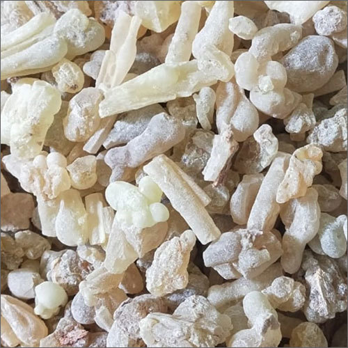 Export Quality Mora Dhoop