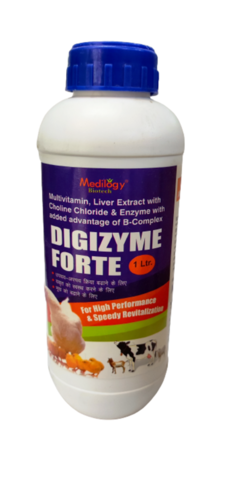 DIGIZYME FORTE SYRUP