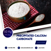 Precipitated Calcium Carbonate IP