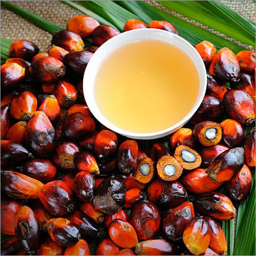 Palm Oil