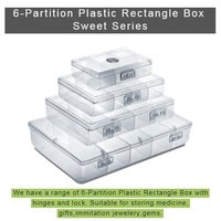 Plastic Partition Box