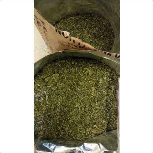 25kg Organic  Tulsi Green Tea