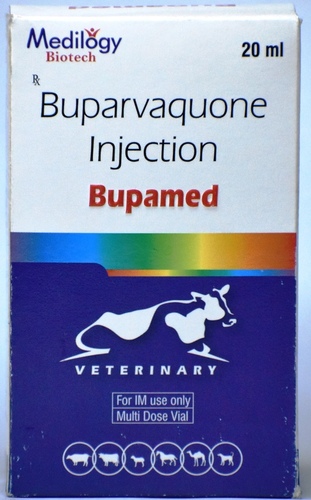 BUPAMED INJECTION