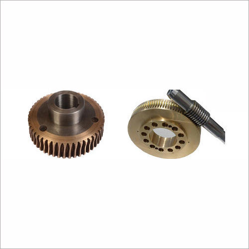 Polished Phosphor Bronze Worm Gear