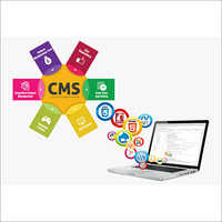 Content Management System Services