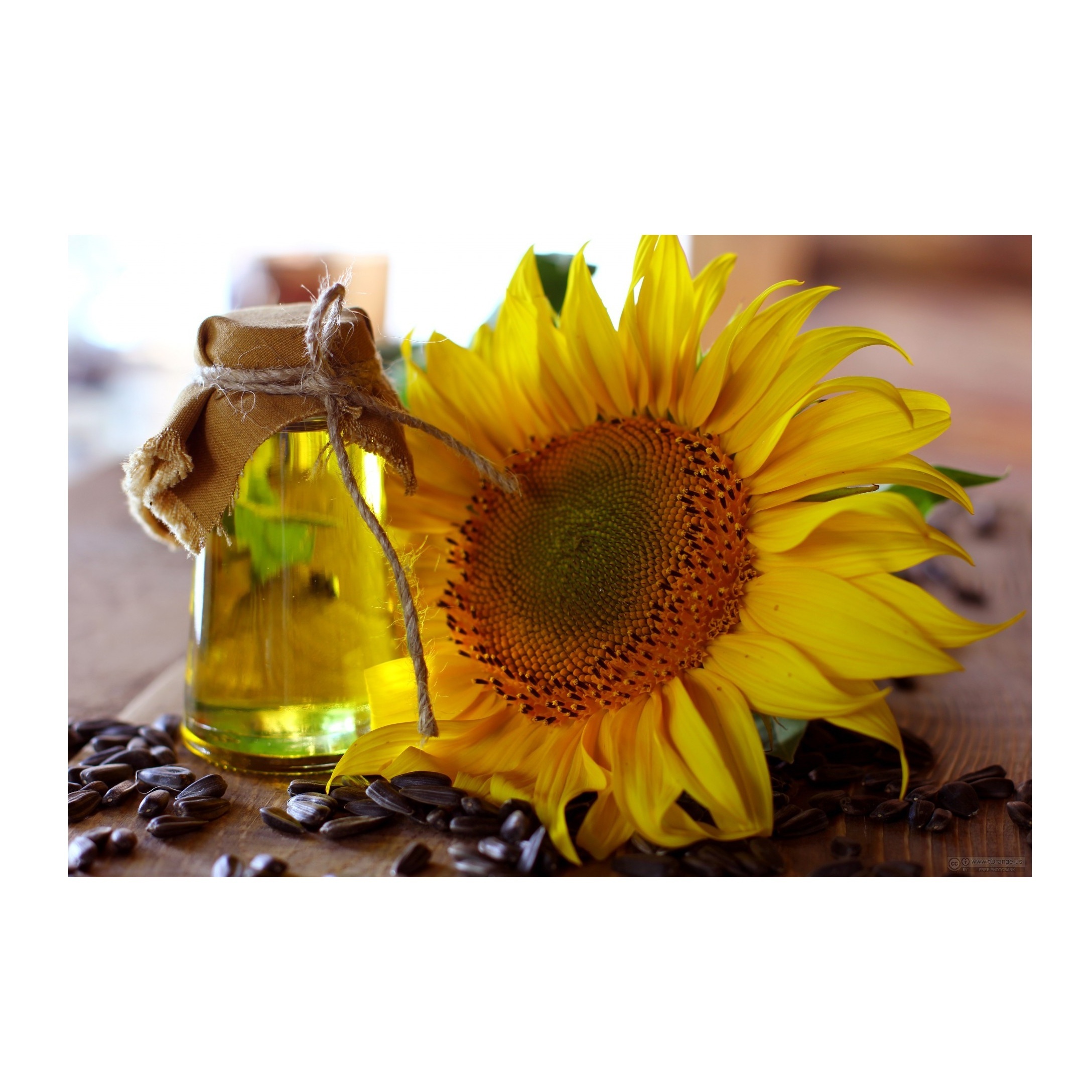100% Pure Refined Sunflower Oil