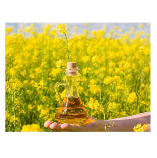 100% Pure Quality Rapeseed Canola Cooking Oil