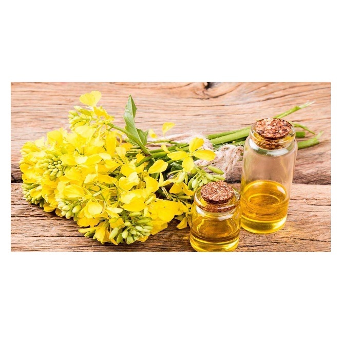 100% Pure Quality Rapeseed Canola Cooking Oil