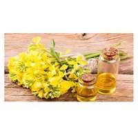 100% Pure Quality Rapeseed Canola Cooking Oil