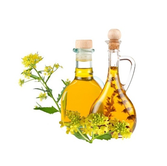 100% Pure Quality Rapeseed Canola Cooking Oil