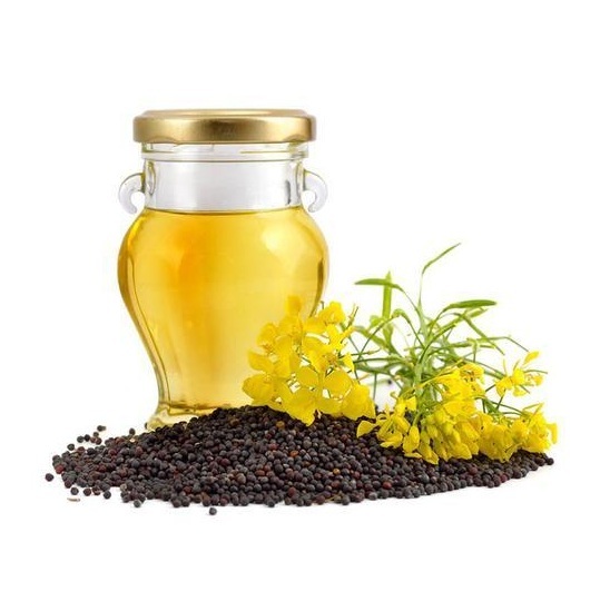 100% Pure Quality Rapeseed Canola Cooking Oil