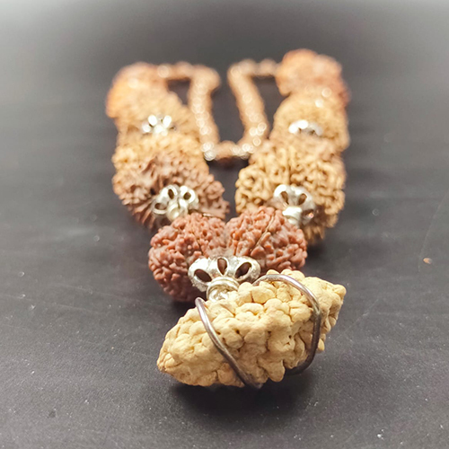 1 Mukhi Indian 2 - 14 Mukhi Nepali  Rudraksha Nepali Siddh Mala