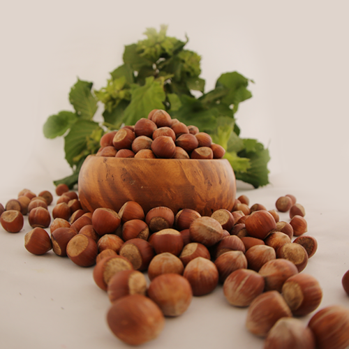 Unshelled Hazelnut
