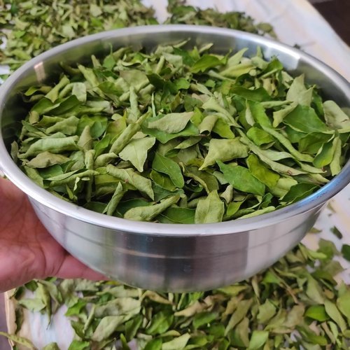 Organic Dry Curry Leaves By KALASH FOODS