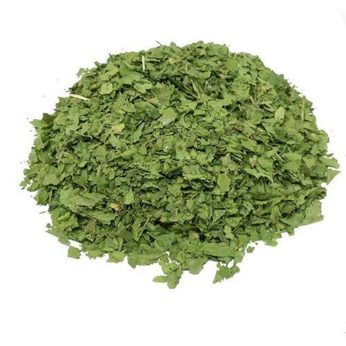 Coriander Leaves In Ahmedabad Dealers & Traders
