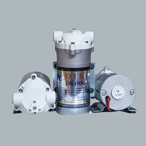 Dike 100 GPD Pump