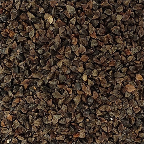 Common Premium Black Buckwheat Seeds