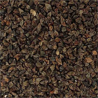 Premium Black Buckwheat Seeds