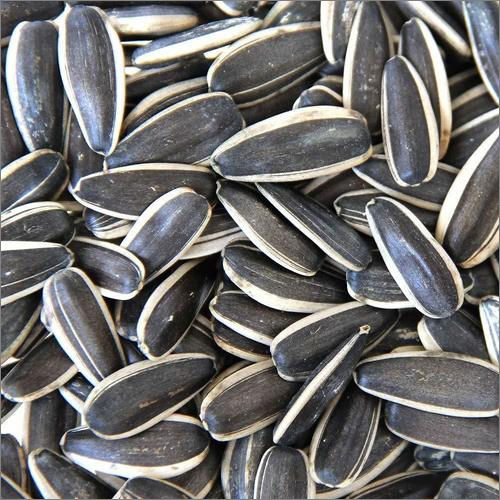 Black Stripe Sunflower Seeds