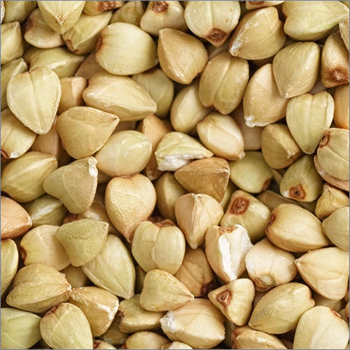 Buckwheat Seeds