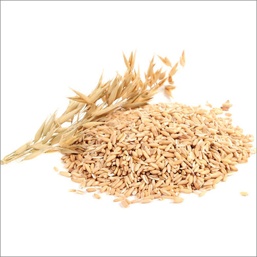 Klin Dried Hulled Oats