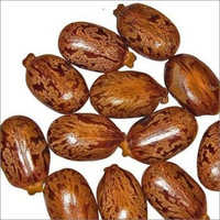 Herbal Castor Seeds