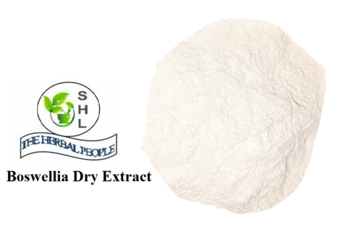 Boswellia Serrata Dry Extract Powder Room Temperature And Protect To Light
