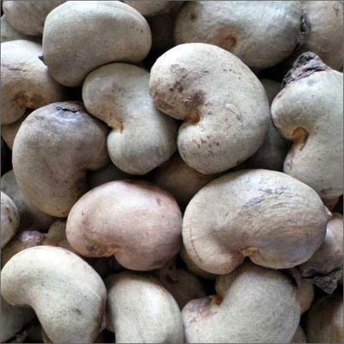 Dried Raw Cashew Nut