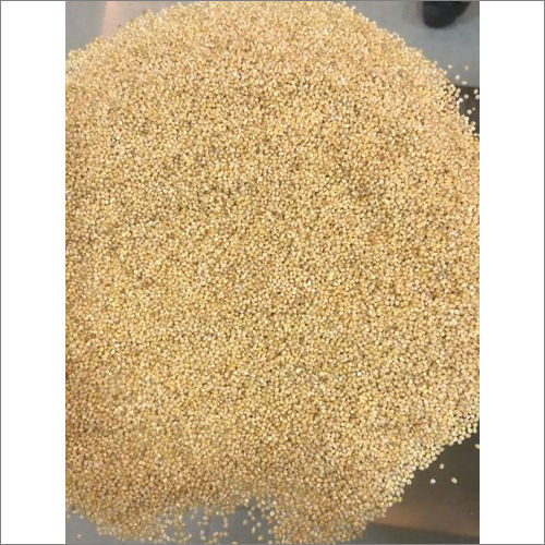 Organic Indian Foxtail Millet