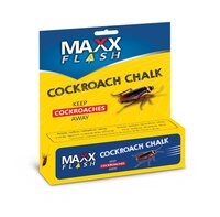 Cockroach Chalk - Duration: 24 Hours