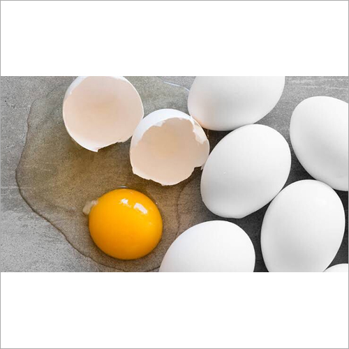 Pure White Egg Egg Origin: Chicken
