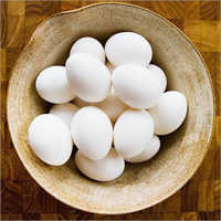 Chicken White Egg