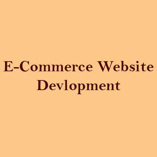 Web Development (Static / Dynamic / E-commerce etc