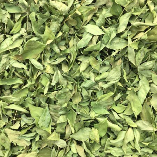 Dried Curry Leaves By A.S.A.K ENTERPRISES