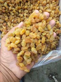 Dried Golden Raisins - Freeze Dried, Round Shape, Golden Color, Max Moisture 5% | Amazing Sweet Taste, Long Shelf Life, Perfect For Sweets And Snacks