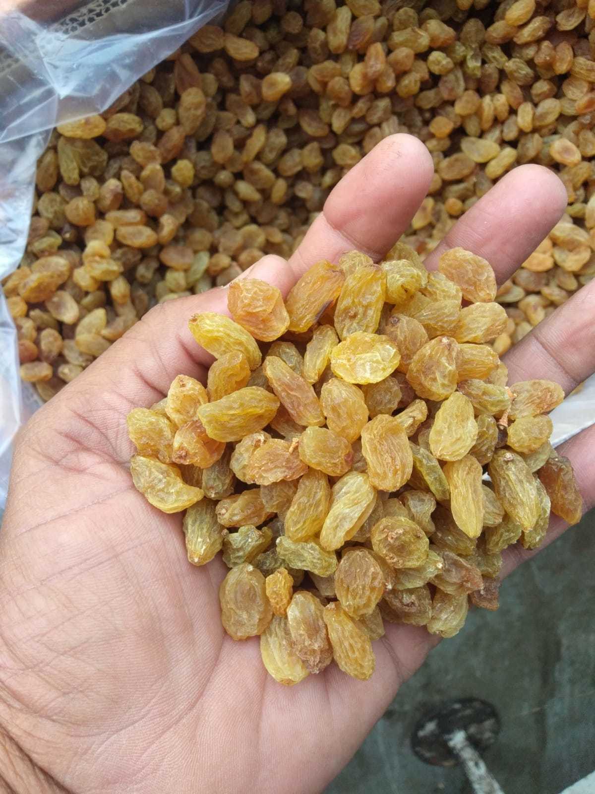 Dried Golden Raisins