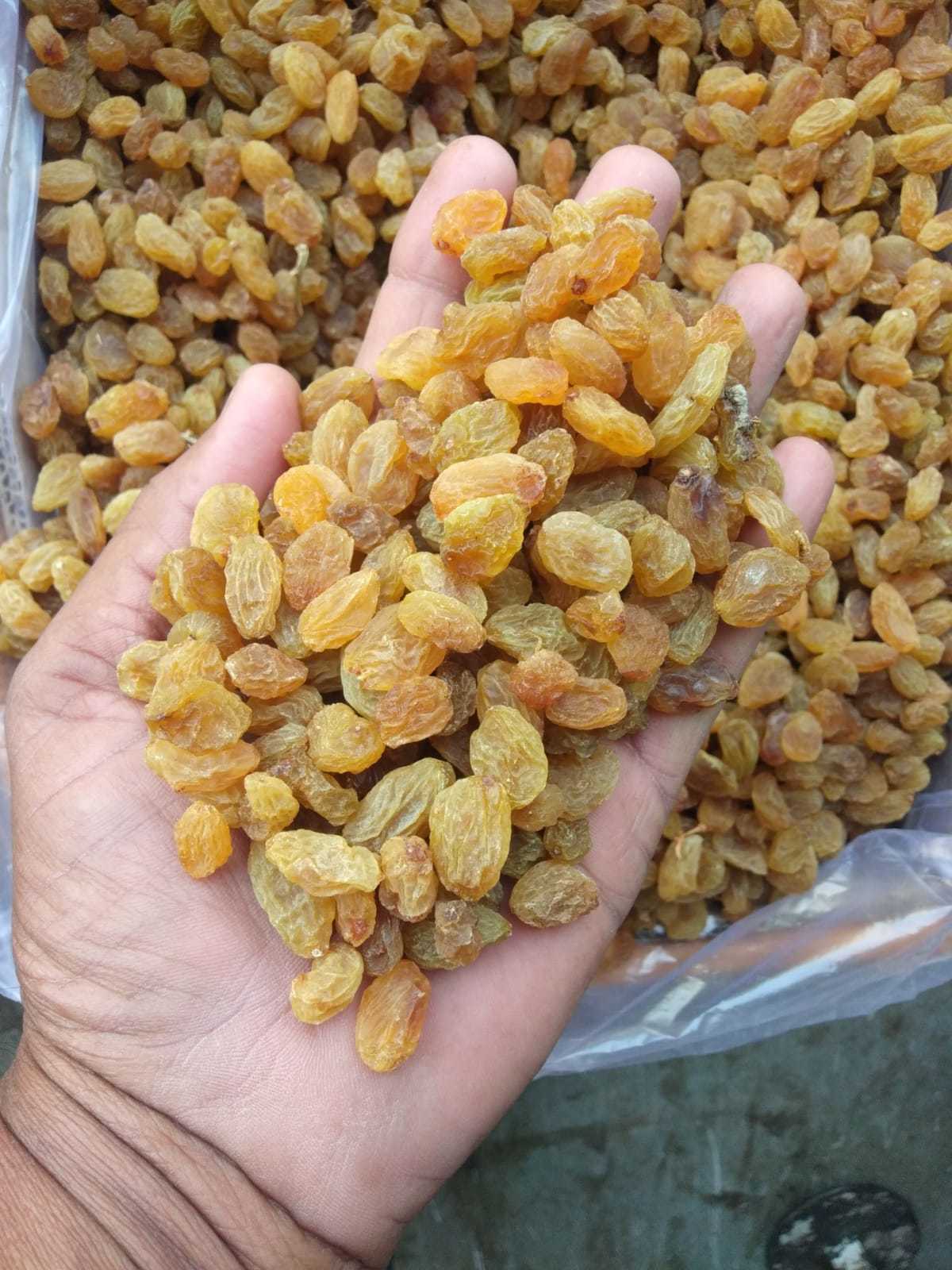 Dried Golden Raisins