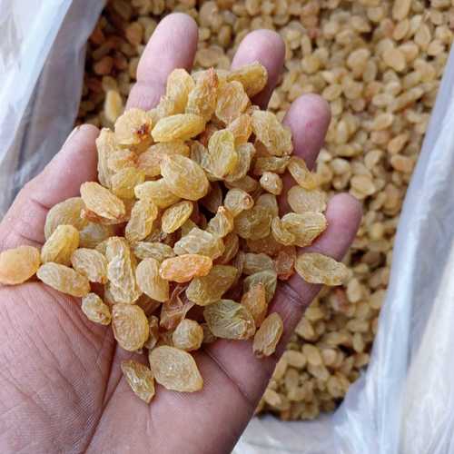 GOLDEN RAISINS